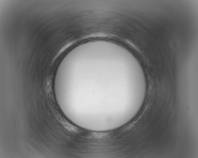 X0000082181258200701191043
