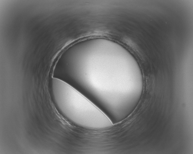 X0000082181260200701191043