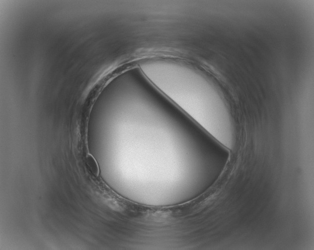 X0000082181261200701191043