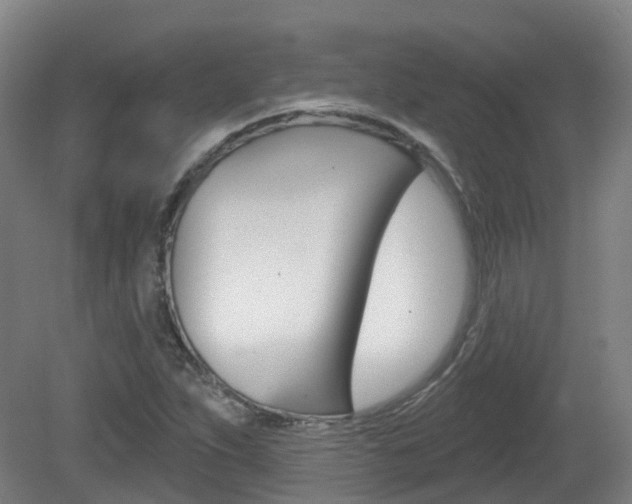 X0000082181263200701191043