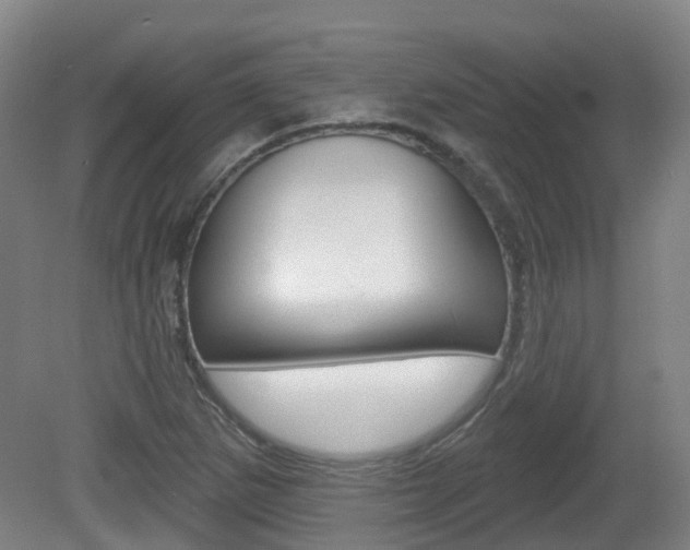 X0000082181265200701191043