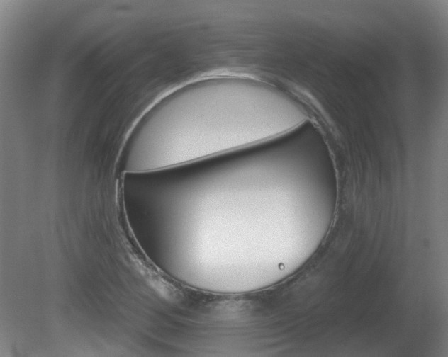 X0000082181268200701191043