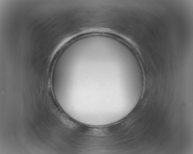 X0000082181271200701191043