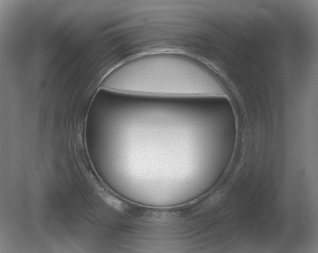 X0000082181273200701191043