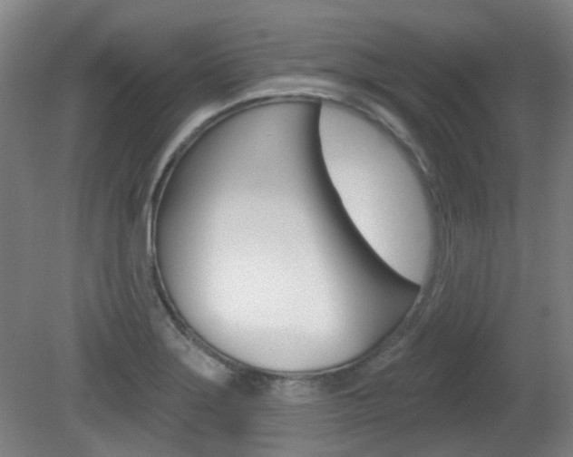 X0000082181275200701191043