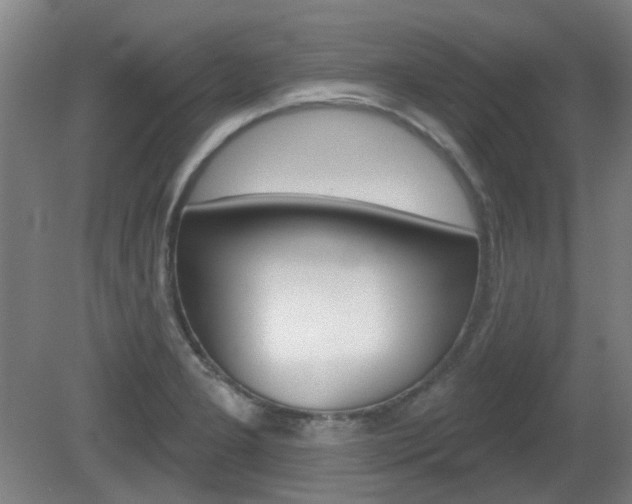 X0000082181277200701191043