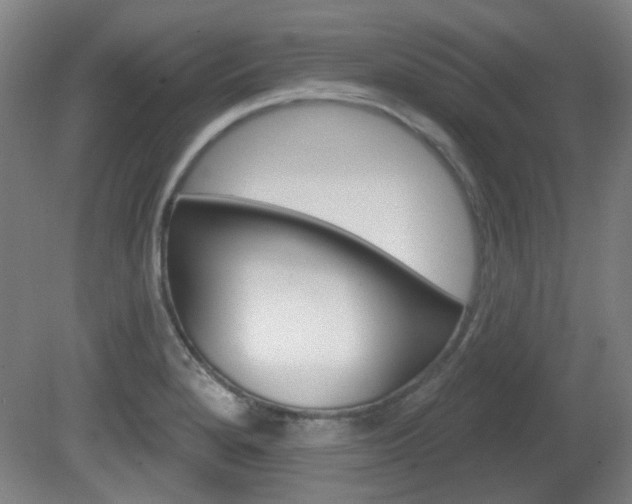 X0000082181280200701191043