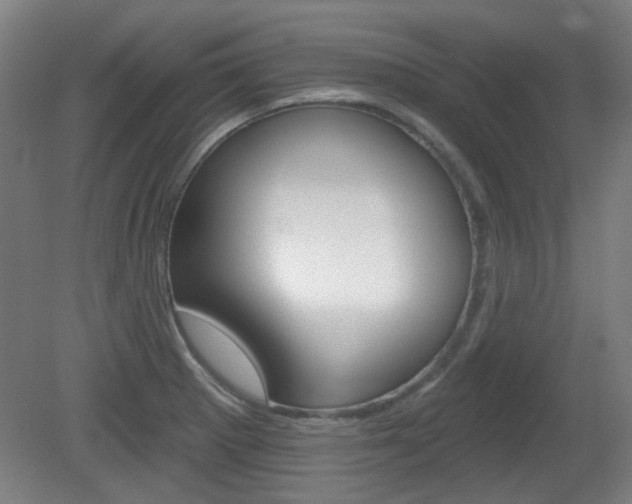 X0000082181281200701191043