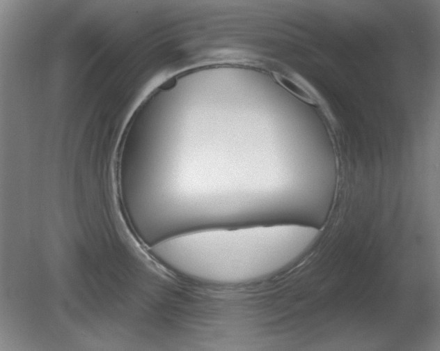 X0000082181291200701191043
