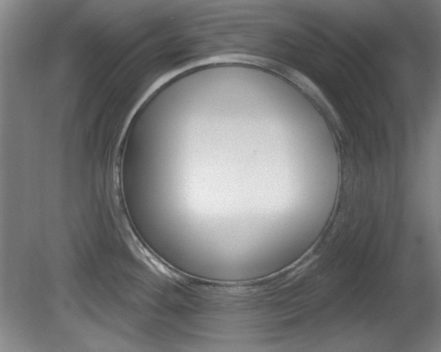 X0000082181292200701191043