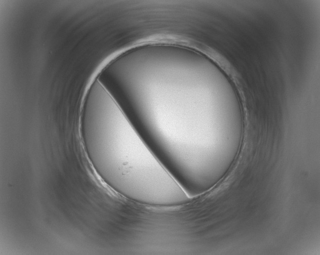 X0000082181296200701191043