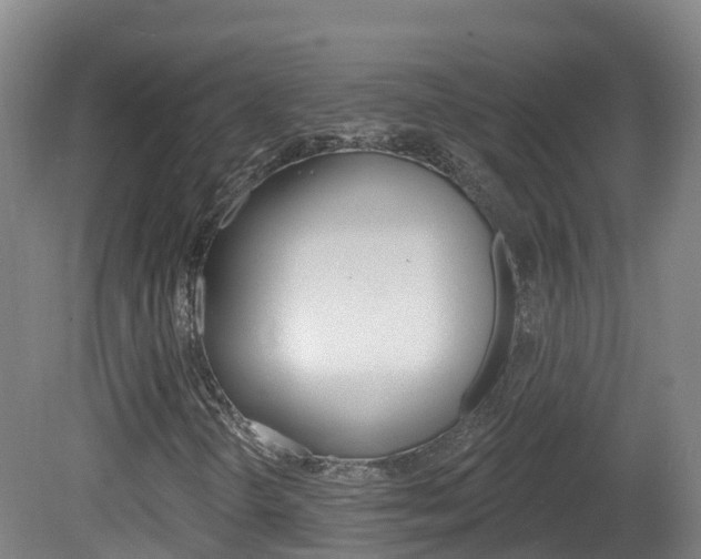 X0000082181298200701191042