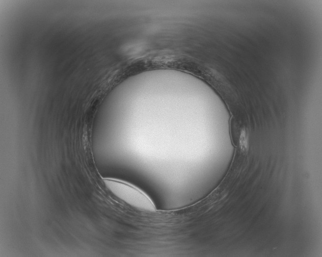 X0000082181299200701191042