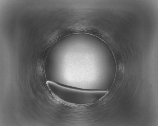 X0000082181300200701191042