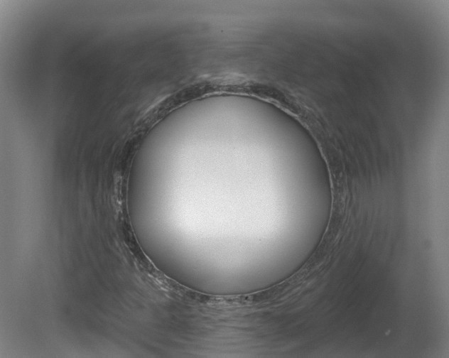 X0000082181301200701191042
