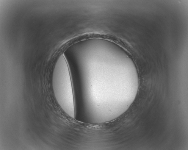 X0000082181303200701191042