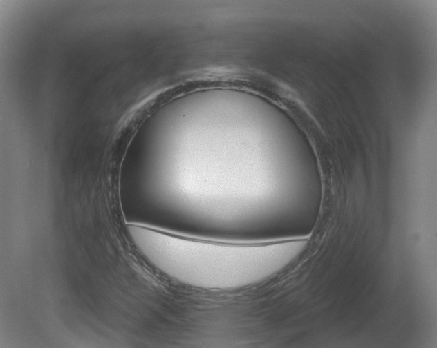 X0000082181304200701191042