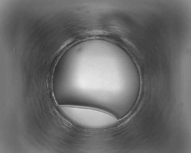 X0000082181305200701191042