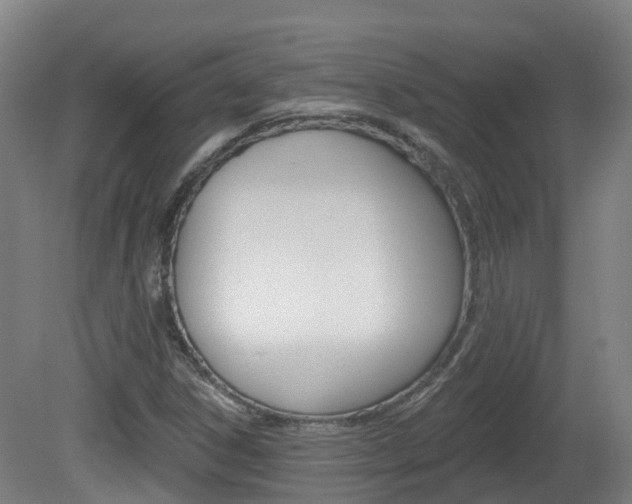 X0000082181306200701191042