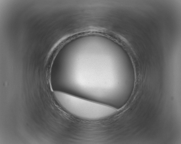 X0000082181310200701191042