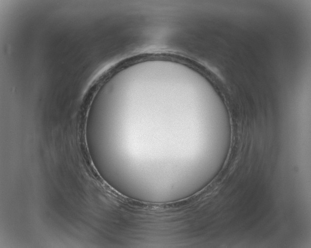 X0000082181311200701191042
