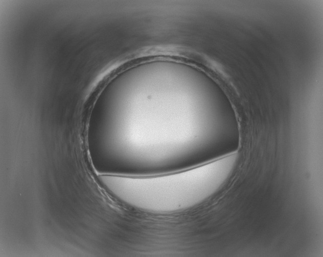 X0000082181312200701191042