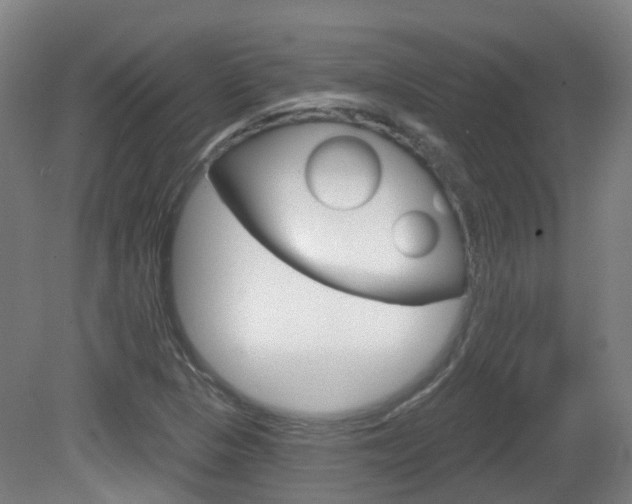 X0000082181313200701191042