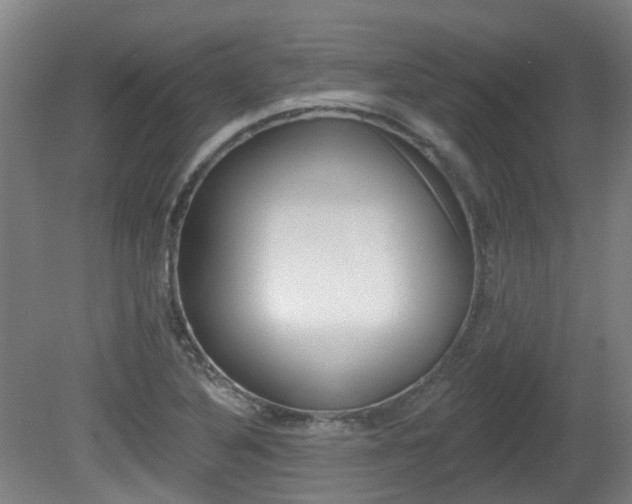 X0000082181316200701191042