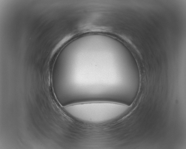 X0000082181317200701191042