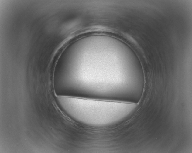 X0000082181318200701191042