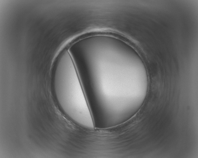 X0000082181319200701191042
