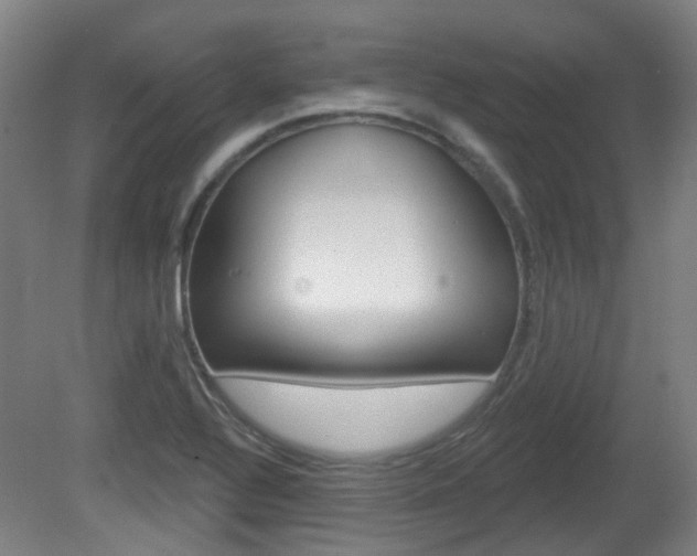 X0000082181320200701191042