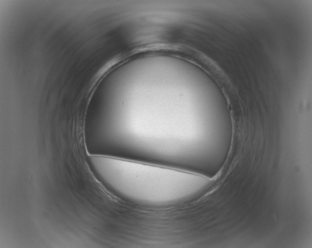 X0000082181321200701191042