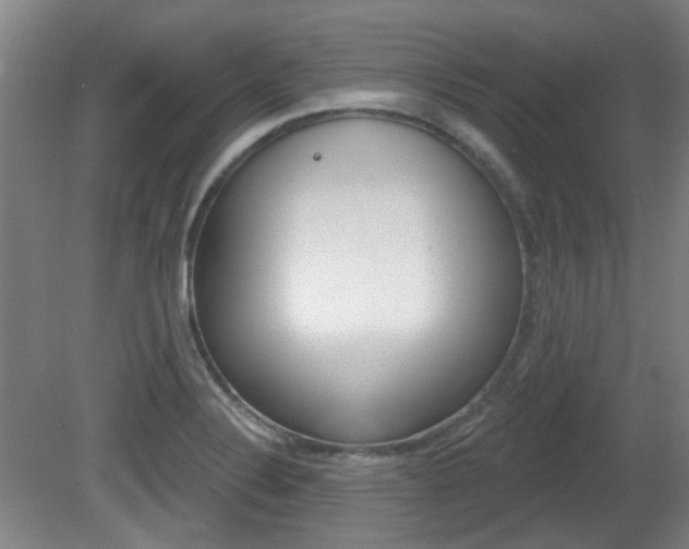 X0000082181324200701191042