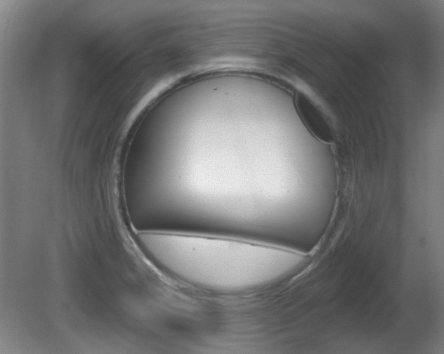 X0000082181325200701191042