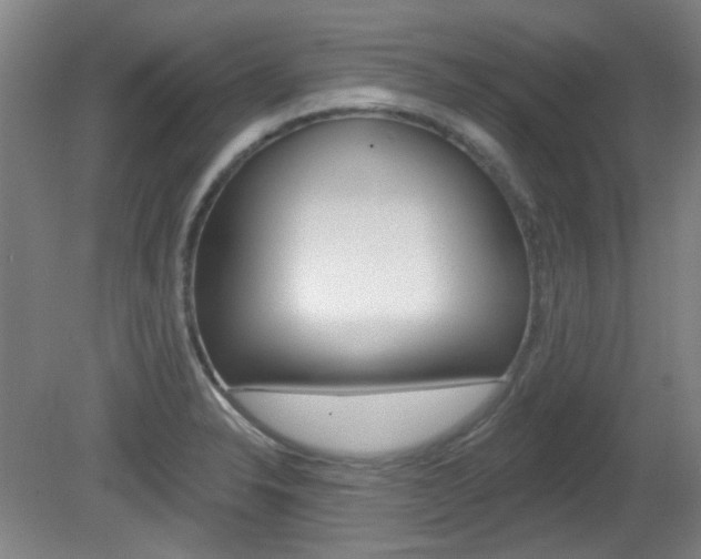 X0000082181326200701191042