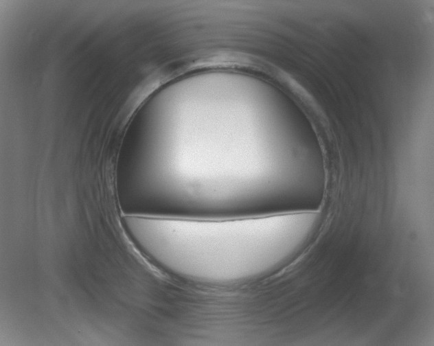 X0000082181329200701191042