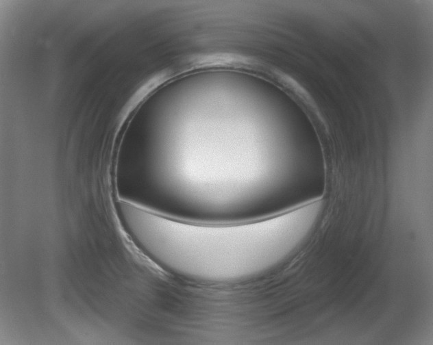 X0000082181330200701191042