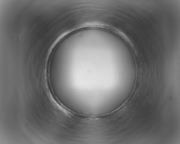 X0000082181331200701191042