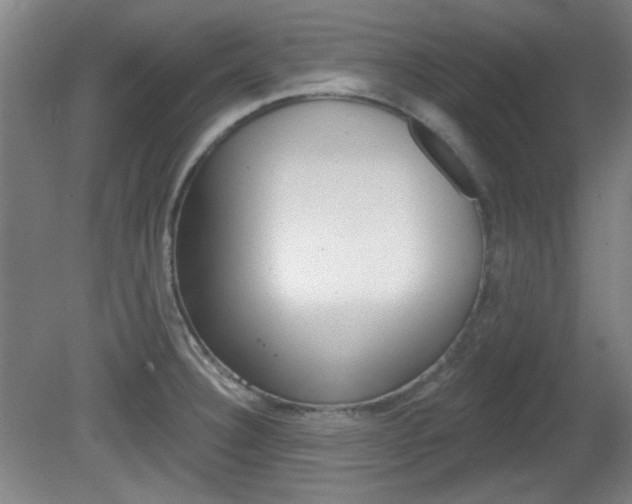 X0000082181332200701191042
