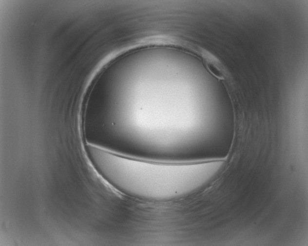 X0000082181334200701191042