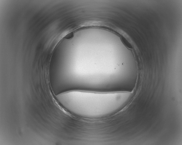 X0000082181337200701191043
