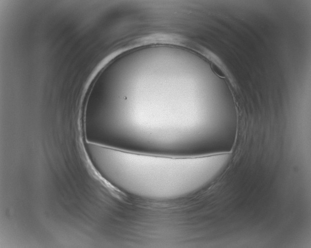 X0000082181339200701191043