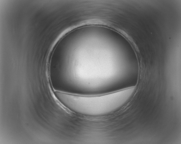 X0000082181342200701191043
