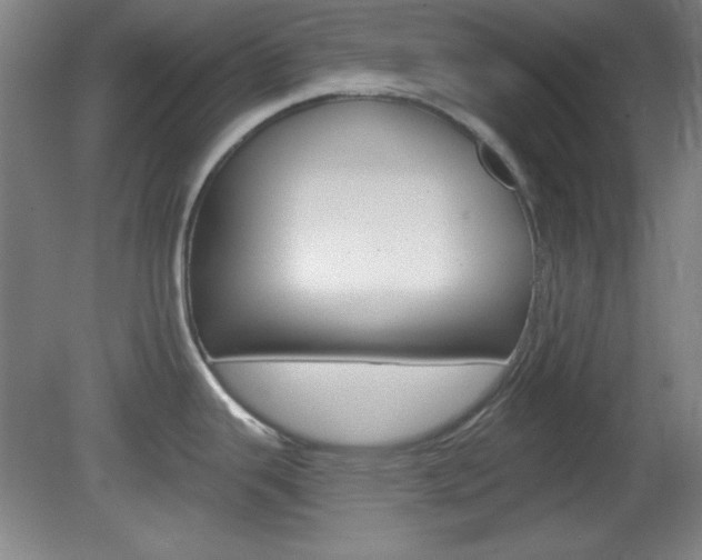 X0000082181343200701191043