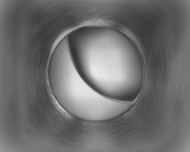 X0000082181344200701191043