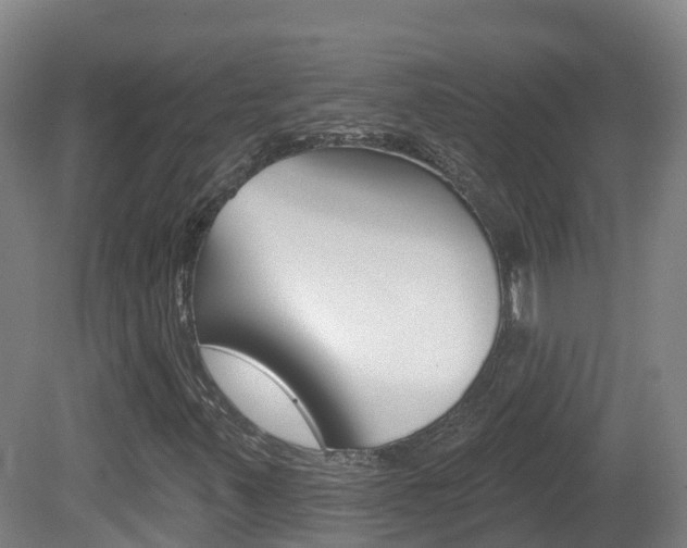X0000082181347200701191042