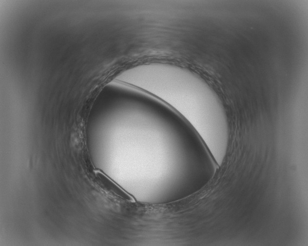 X0000082181349200701191042
