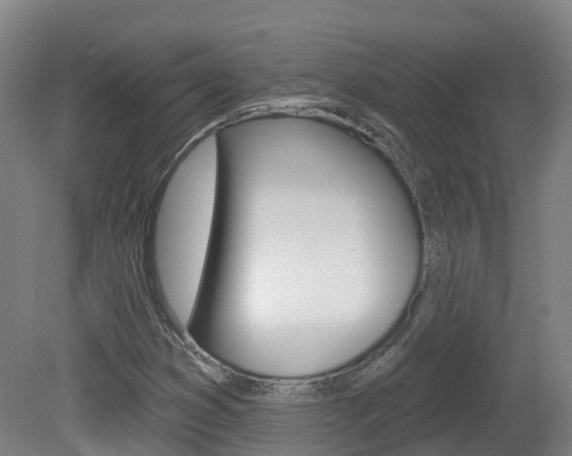 X0000082181353200701191042