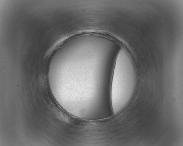 X0000082181359200701191042